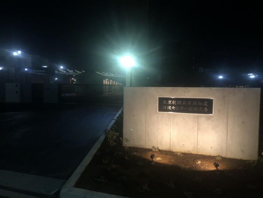 夜全景