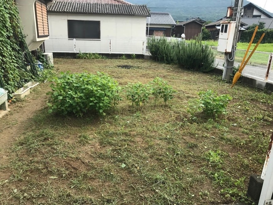 庭草刈り後