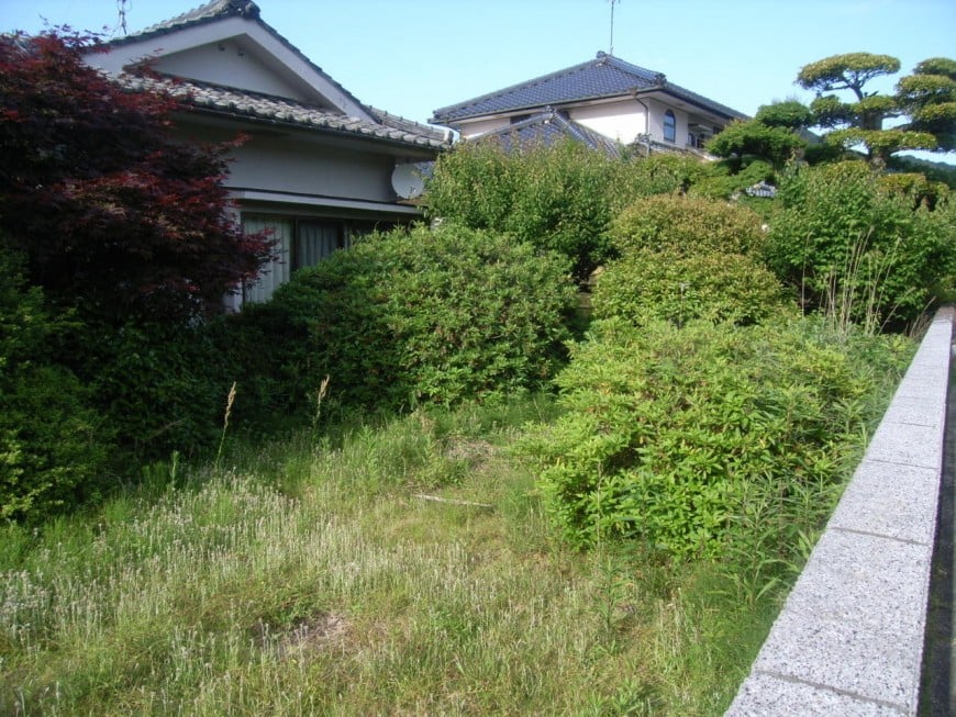 庭草刈り前