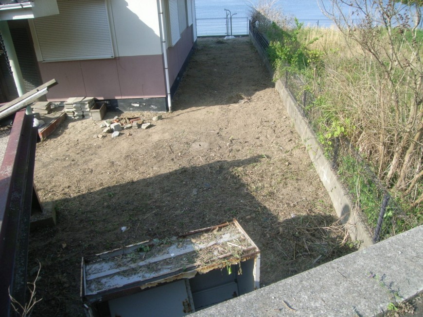 シートを撤去し、草を刈りました