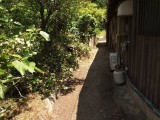 草刈り後