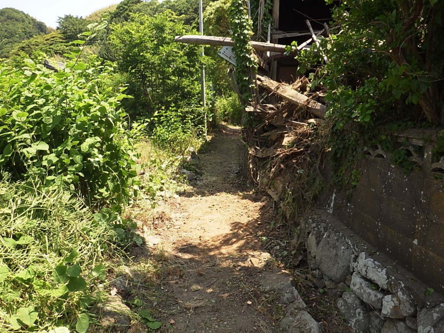 草刈りを行い、崩れてきた家屋（木、瓦、土）を取り除きました