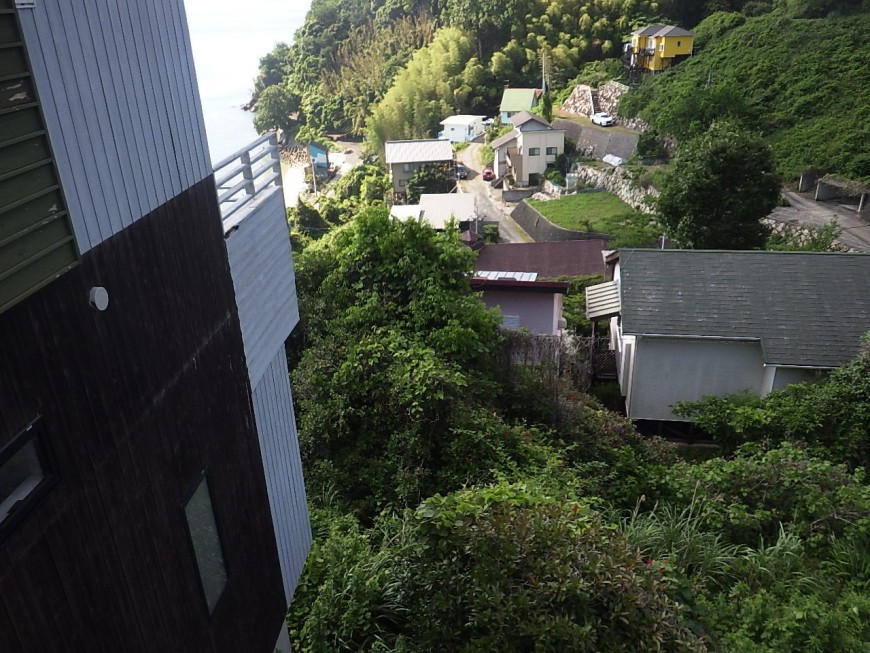 庭の方の木も大きくなり電線に当たっています